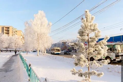 Заказы зимой