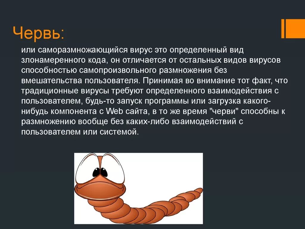 Вирусы черви. Виды вирусов черви. Компьютерный вирус червь. Вирус типа червь. Польза червей