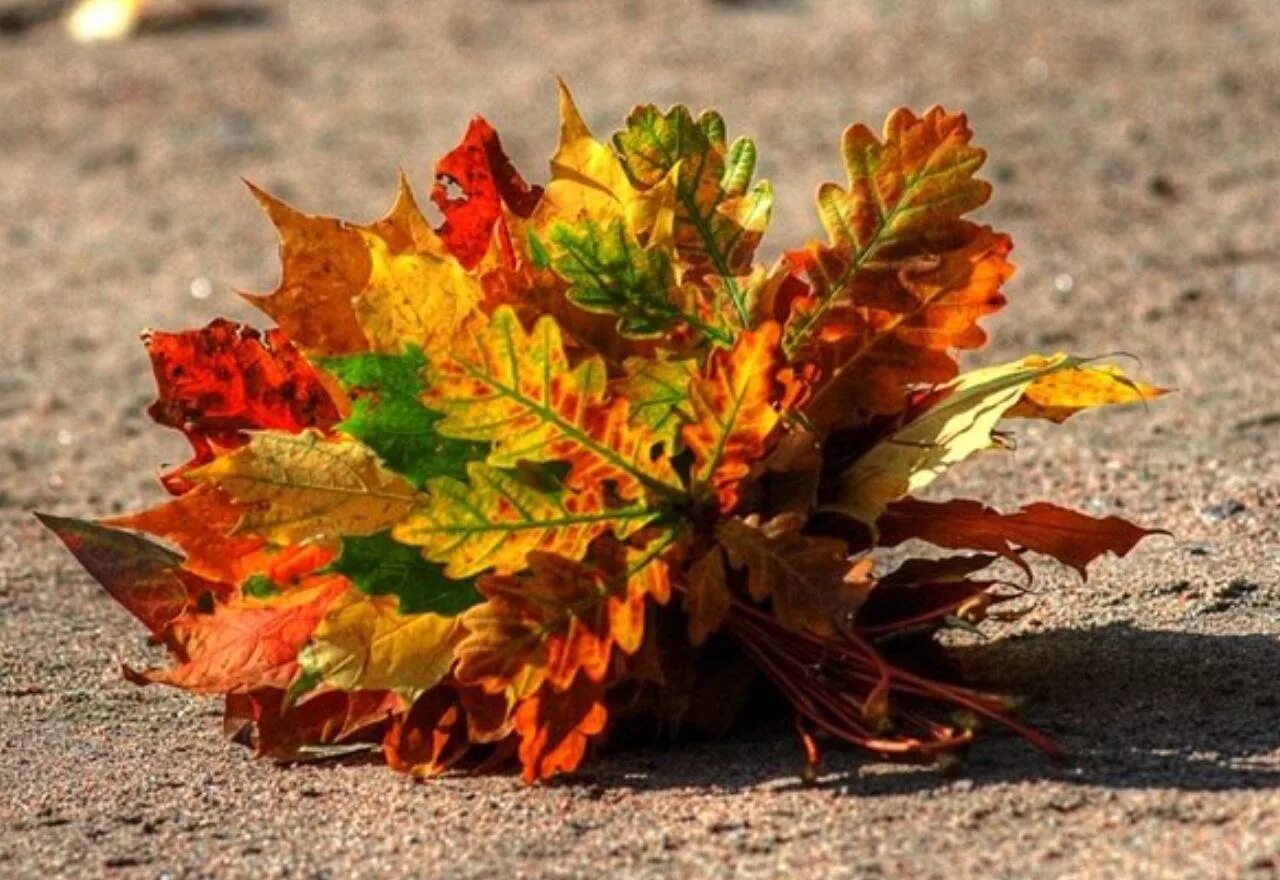 Осенний букет. Букет из листьев. Букет осенних листьев. Красивый осенний букет из листьев. Осеннее богатство