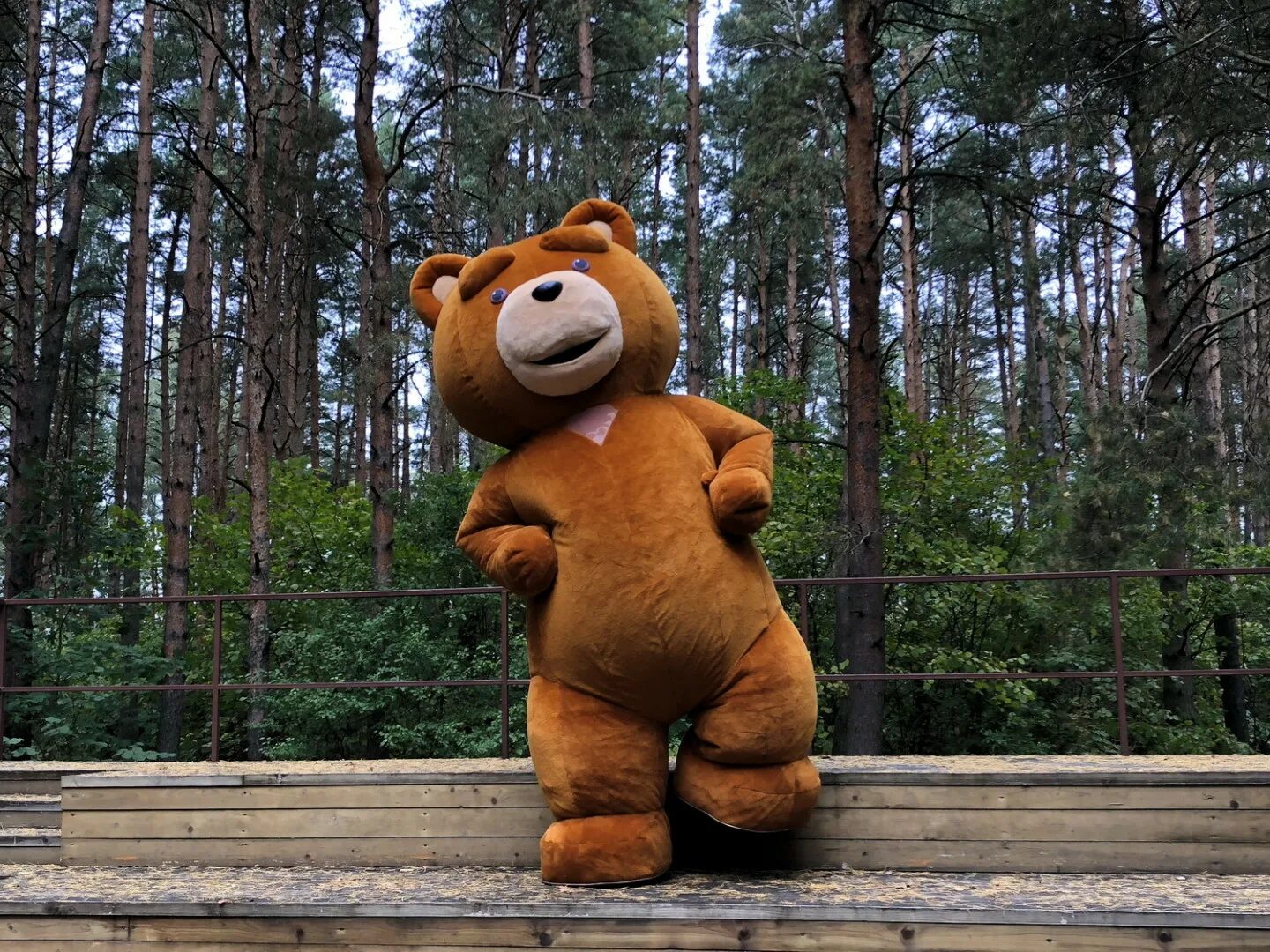 Медвежья морда на подушку. Медведь на праздник москва. Дрессированный медведь. Масленица на красной площади. 3 лишний медведь в костюме.