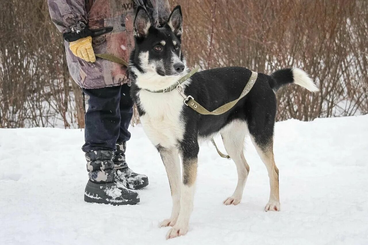 Найда. Найда