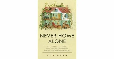Never home