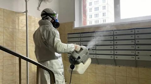 Сэс дератизация
