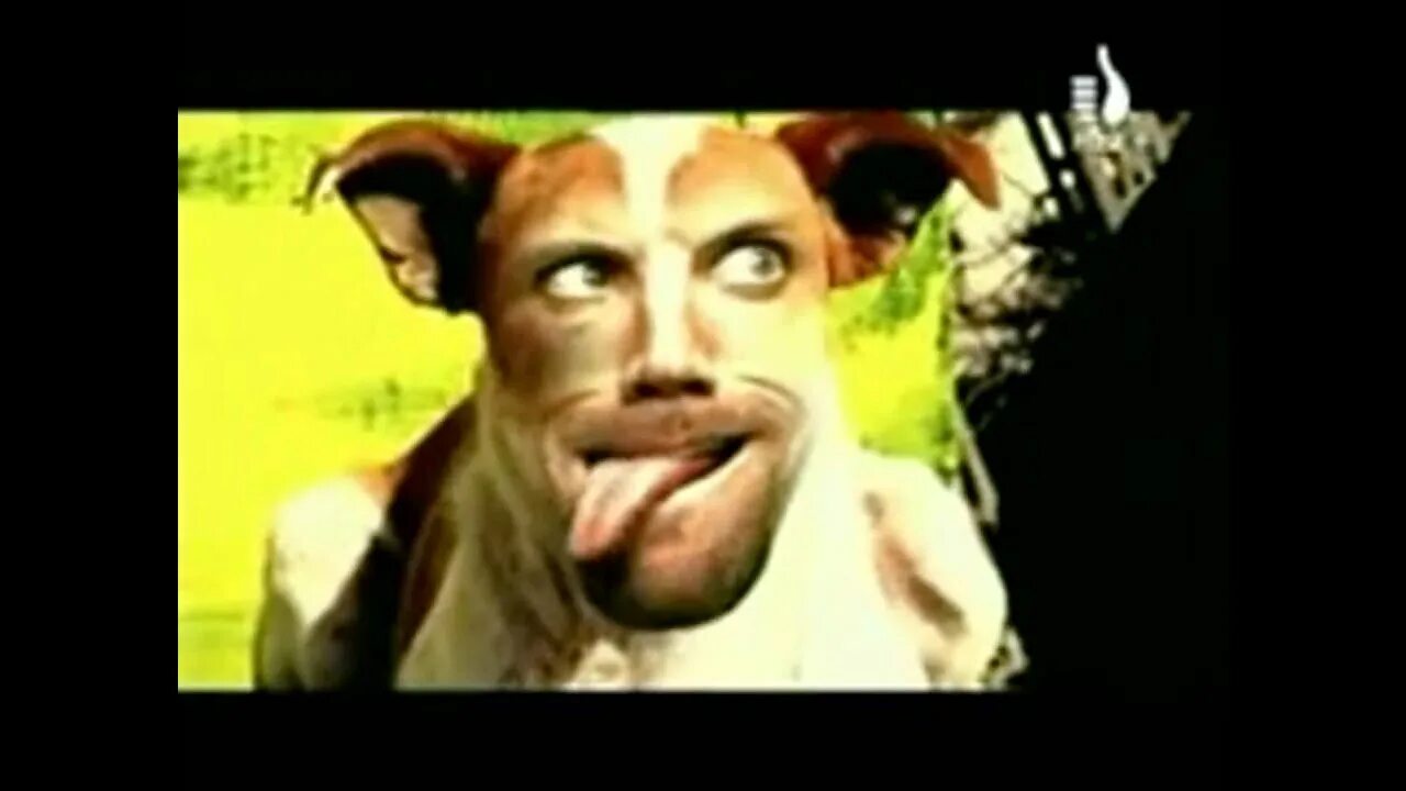Korn word up. Word up cover. Korn world up. Word up cover. Клип собаки с человеческими лицами.
