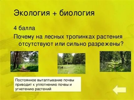 Растения отсутствуют