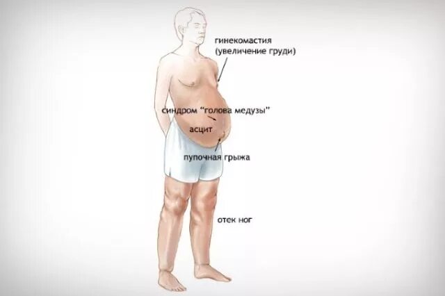 Vital Zentrum - Заметки OK.RU