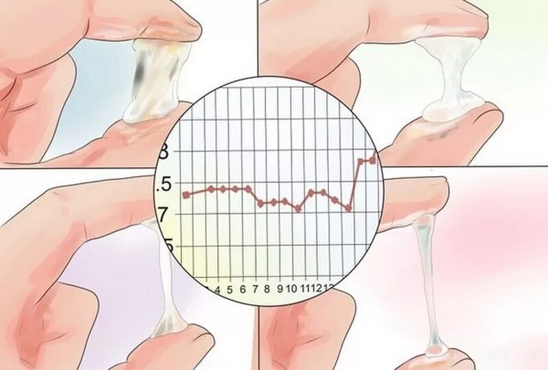 Овуляцией называют. Шеечная слизь по дням цикла. Цервикальный метод контрацептива. Выделения при овуляции. Выделения приовуляуии.