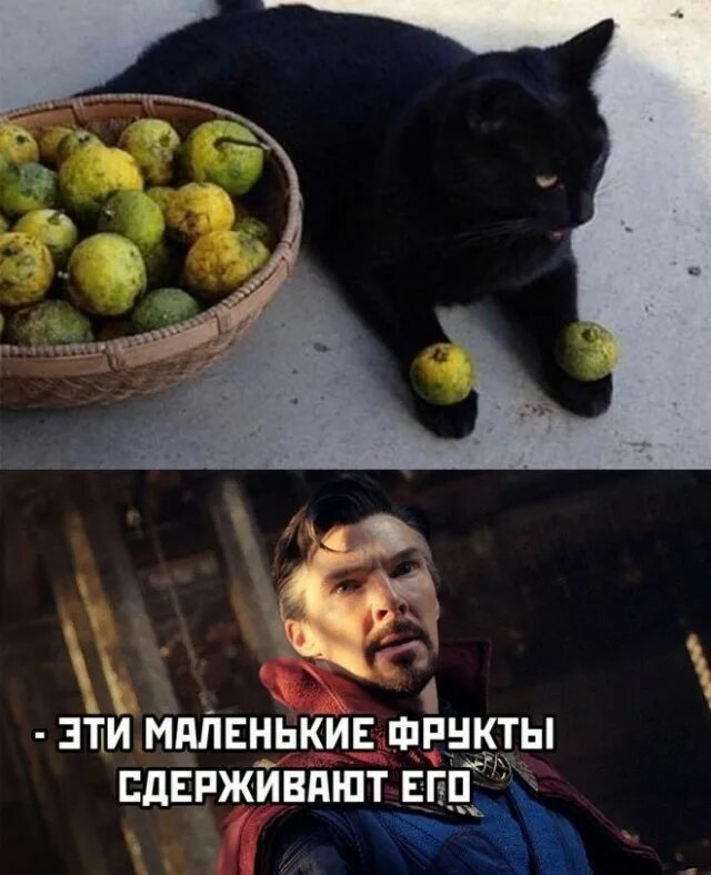 Популярные мемы на сегодняшний день. Самые популярные мемы. Мемы. Мемы новейшие. Последняя шутка.