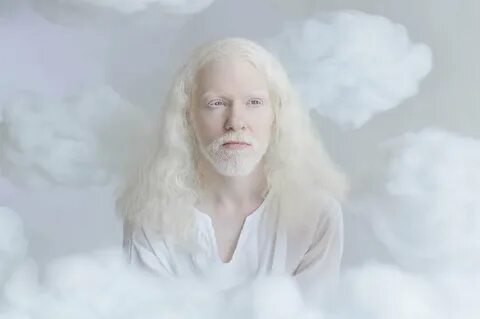 Альбинос ли белый медведь
