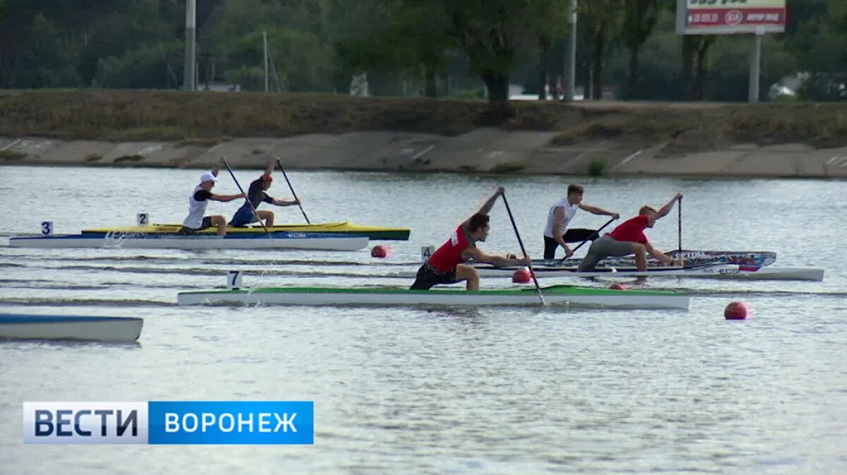 Гребля воронеж. Соревнования по гребле на байдарках и каноэ Воронеж 2022. Центр гребли на байдарках и каноэ Воронеж. Гребля на байдарках Воронеж. Соревнования по гребле Воронеж.