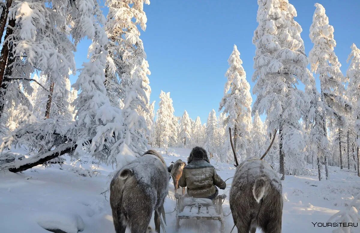 В каких городах теплые зимы