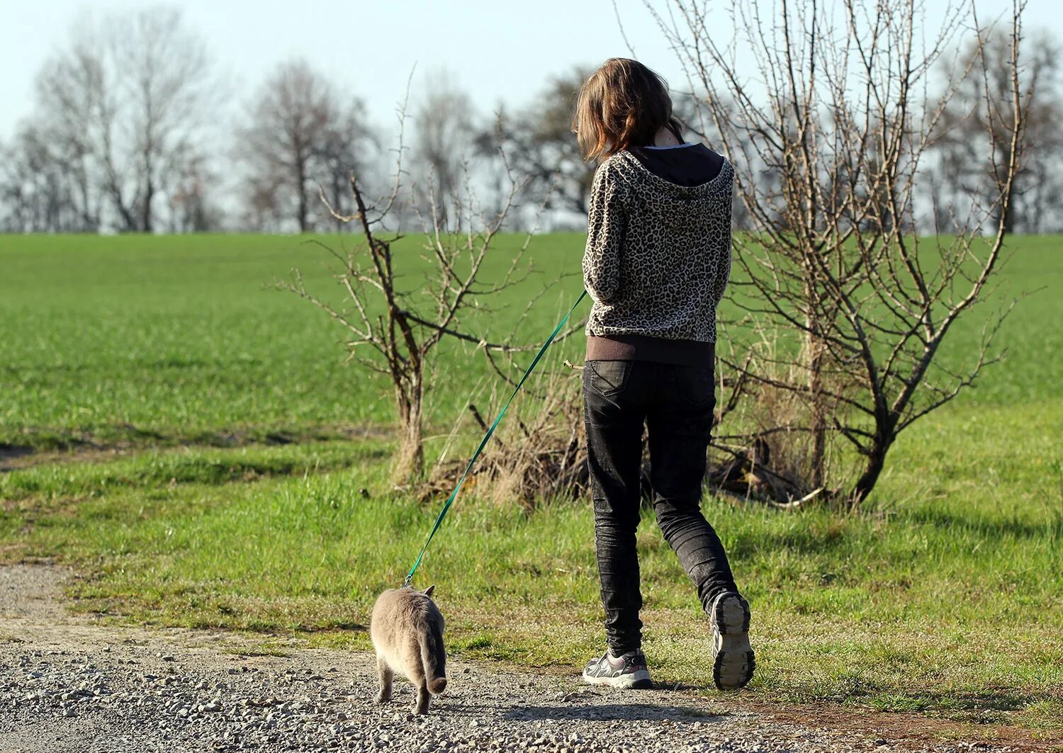 Друзья зовут гулять. Хочу гулять. Собралась гулять с подругой. Гулять гулять гулять гулять. Открытка пошли гулять.