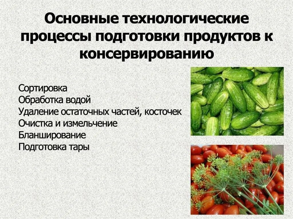 Способы консервирования овощей. Подготовка плодов и овощей к консервированию. методы консервирования. основы консервирования продовольственных товаров. способы консервирования пищевых продуктов.