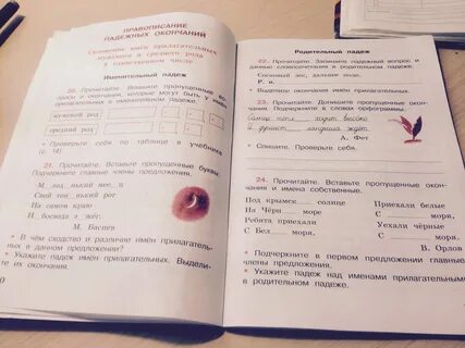 Допиши текст прилагательными