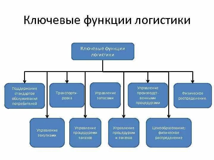 Функция структурная транспортная. Ключевые логистические функции. Обязанности отдела логистики на предприятии. Схема логистических функций. Основные логистические функции.