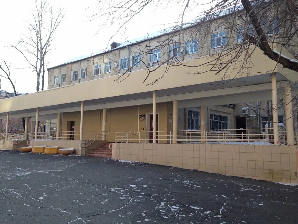 льва толстого 32 ульяновск детская поликлиника. льва толстого 47 детский дом. ул льва толстого 32 ульяновск. поликлиника на льва толстого хабаровск. 1 детская на льва толстого.