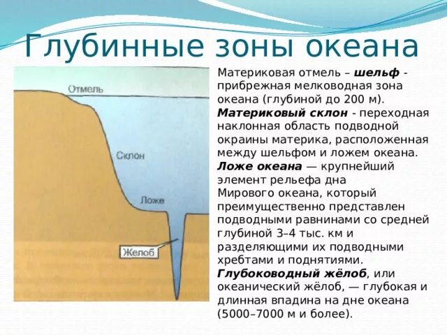 Плотный глубина. Шельф материковый склон ложе океана. Глубинные зоны мирового океана. Материковая отмель шельф. Зоны океанического дна.