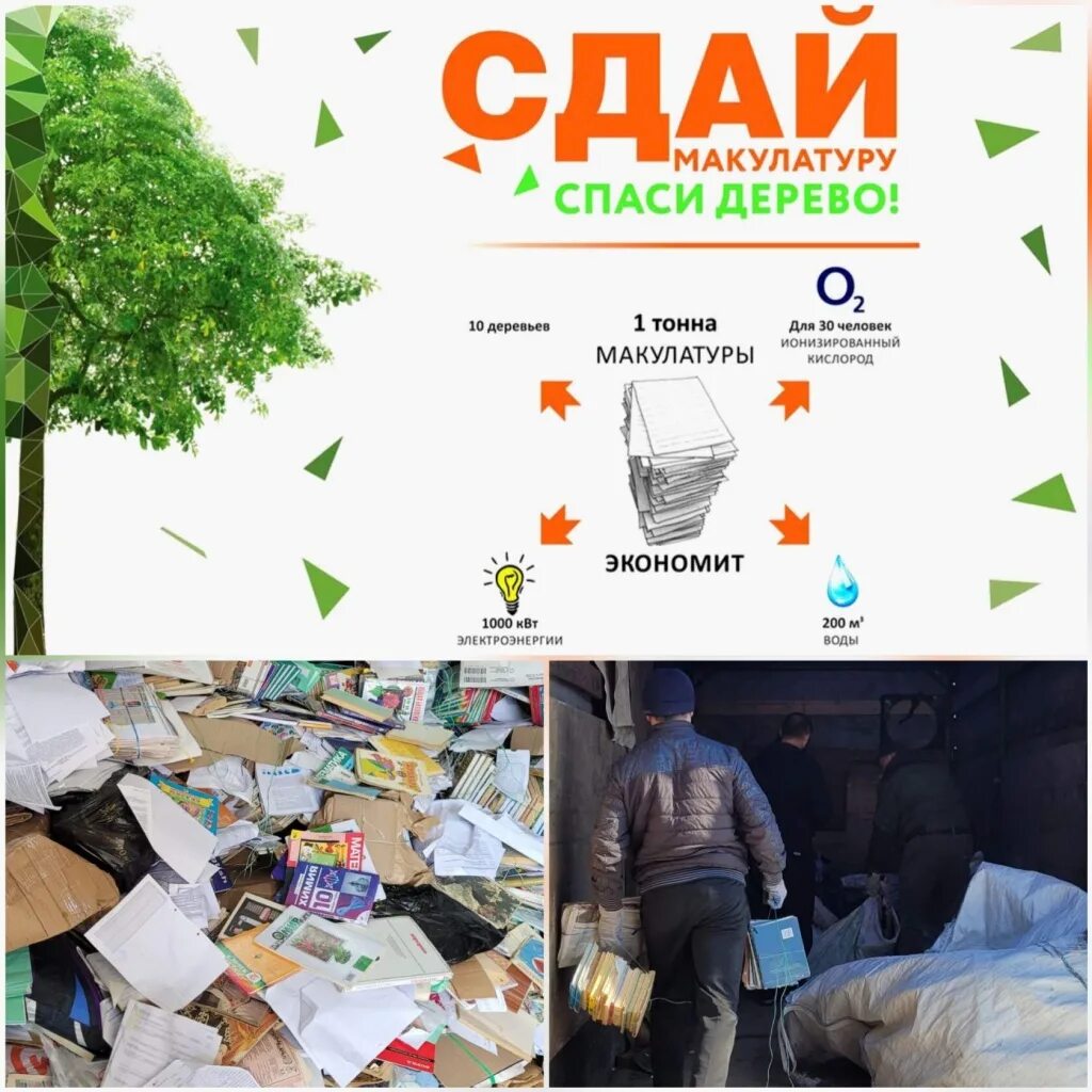 Тонна макулатуры спасает деревьев. Спаси дерево. макулатура спасает дерево. сдай макулатуру. экомарафон-переработка сдай макулатуру спаси дерево.