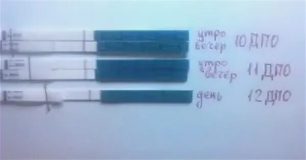 Дпо 3