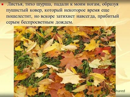 Падая листья шуршали