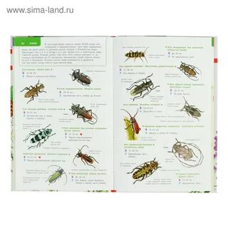 Атлас определитель насекомых 1 класс окружающий мир
