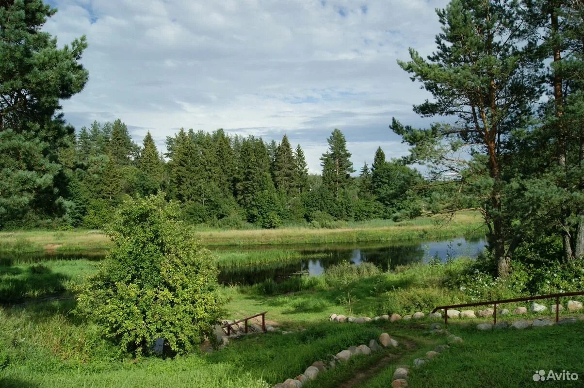 Река торопа. Торопа тверская область новости. Торопа тверская область новости. Торопа тверская область новости. Торопа тверская область новости.