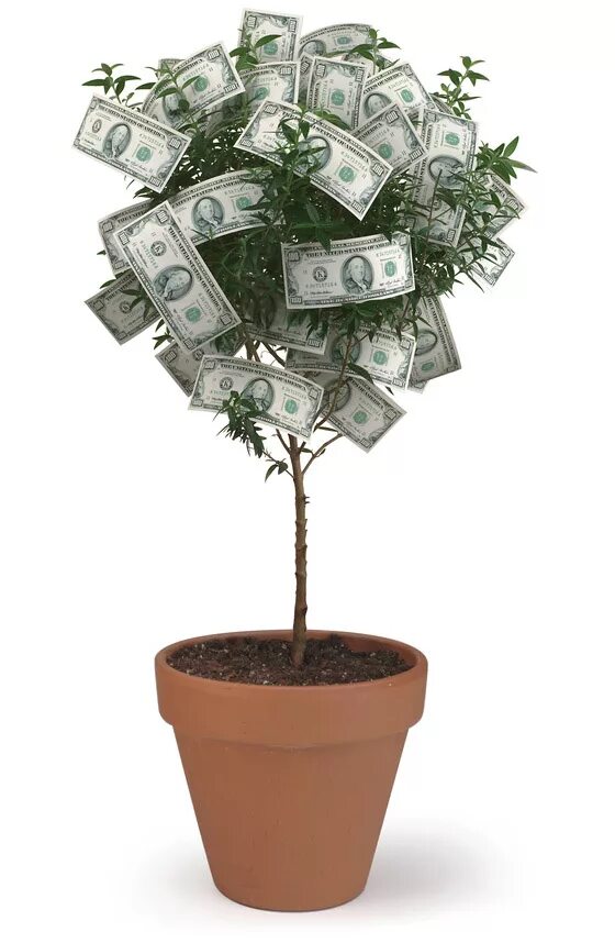 Tall money
