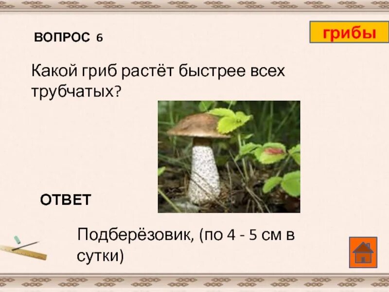 Кроссворд на слово гриб. Загадка про гриб подберезовик. Вопросы про грибы. Вопросы про грибы с ответами.