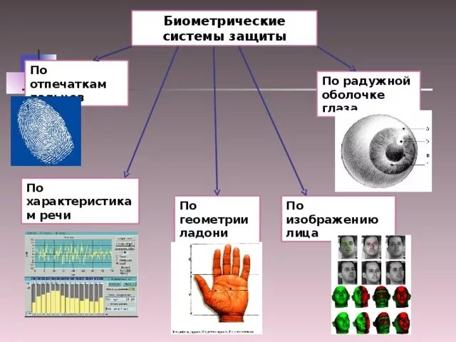 Использовать биометрию. Использовать биометрию