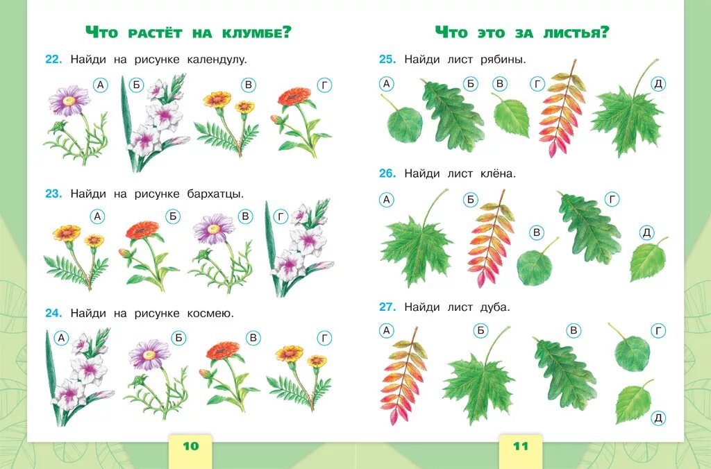 Растения первый класс. Задания по окружающему миру растения. Задания по окружающему миру 1 класс. Задания по окружающему миру 1 класс растения. Мир растений задания для дошкольников.