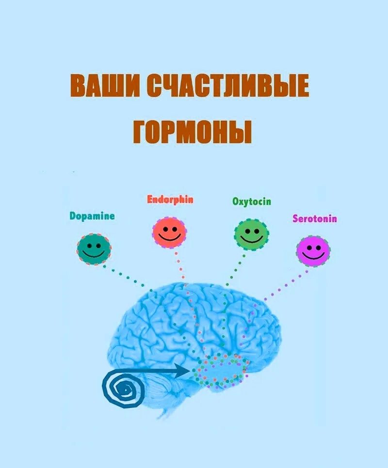 Эндорфин чувство вызывает в человеке. Гормоны счастья. Гормон радости. Гормоны счастья иллюстрация. Гормональное расписание.