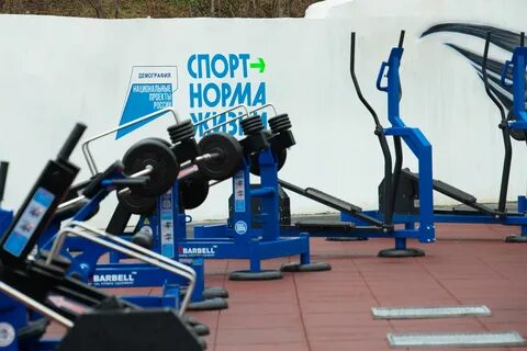 Региональный спортивный проект