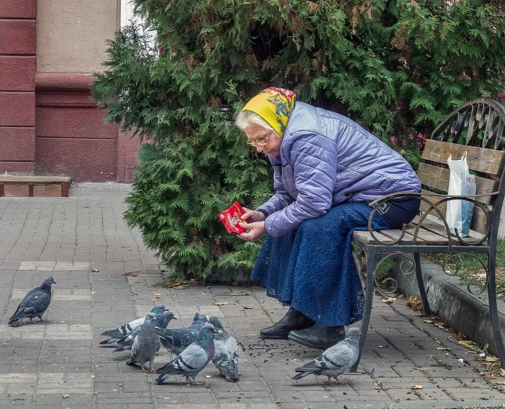 Бабушки с семечками на лавочке. Семечки на лавочке. Бабульки на скамейке с семечками. Бабка с семечками на лавке. Бабушка пописала