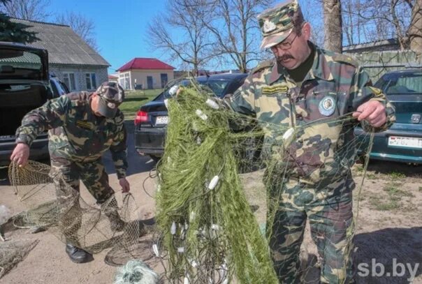 Госинспекция охраны растительного