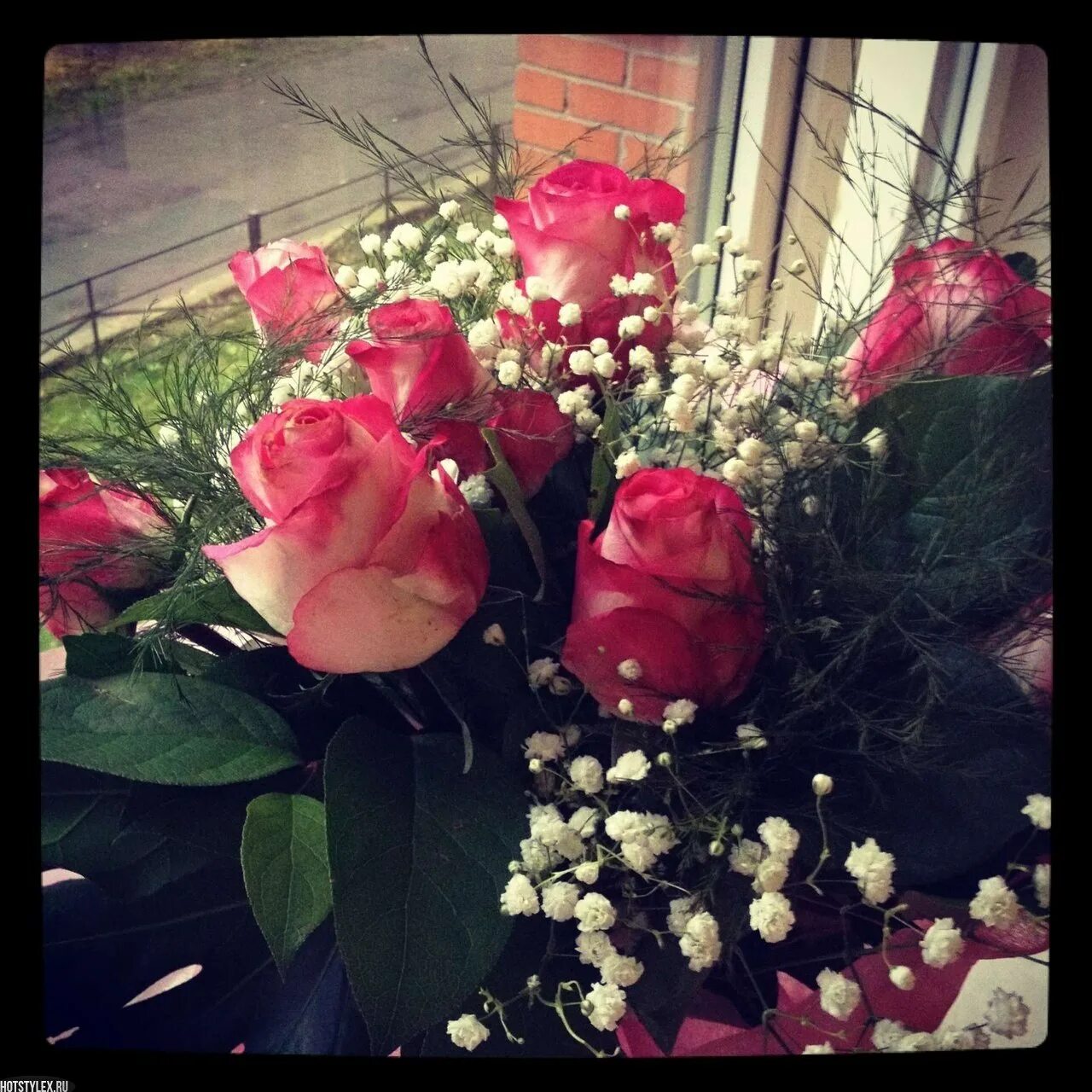 Wallpaper roses, flowers, white, flower, decoration, green, beauty hd, picture, 