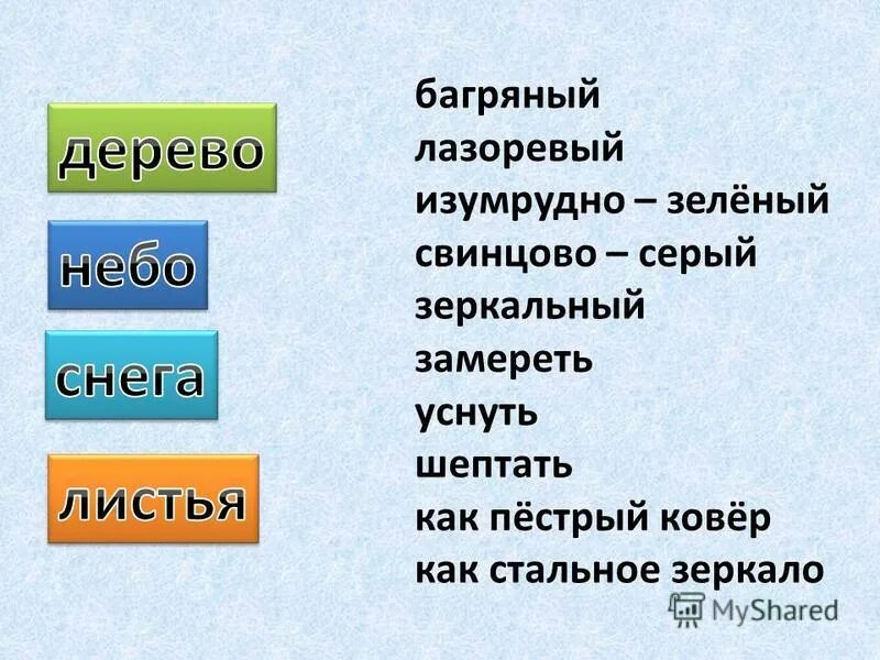 Выглядываю в окно и не узнаю леса