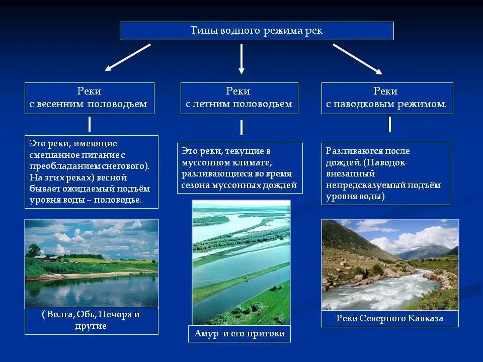 Видовое разнообразие реки. Типы режима рек. Типы водного питания рек. Особенности водного режима. Водный режим рек.