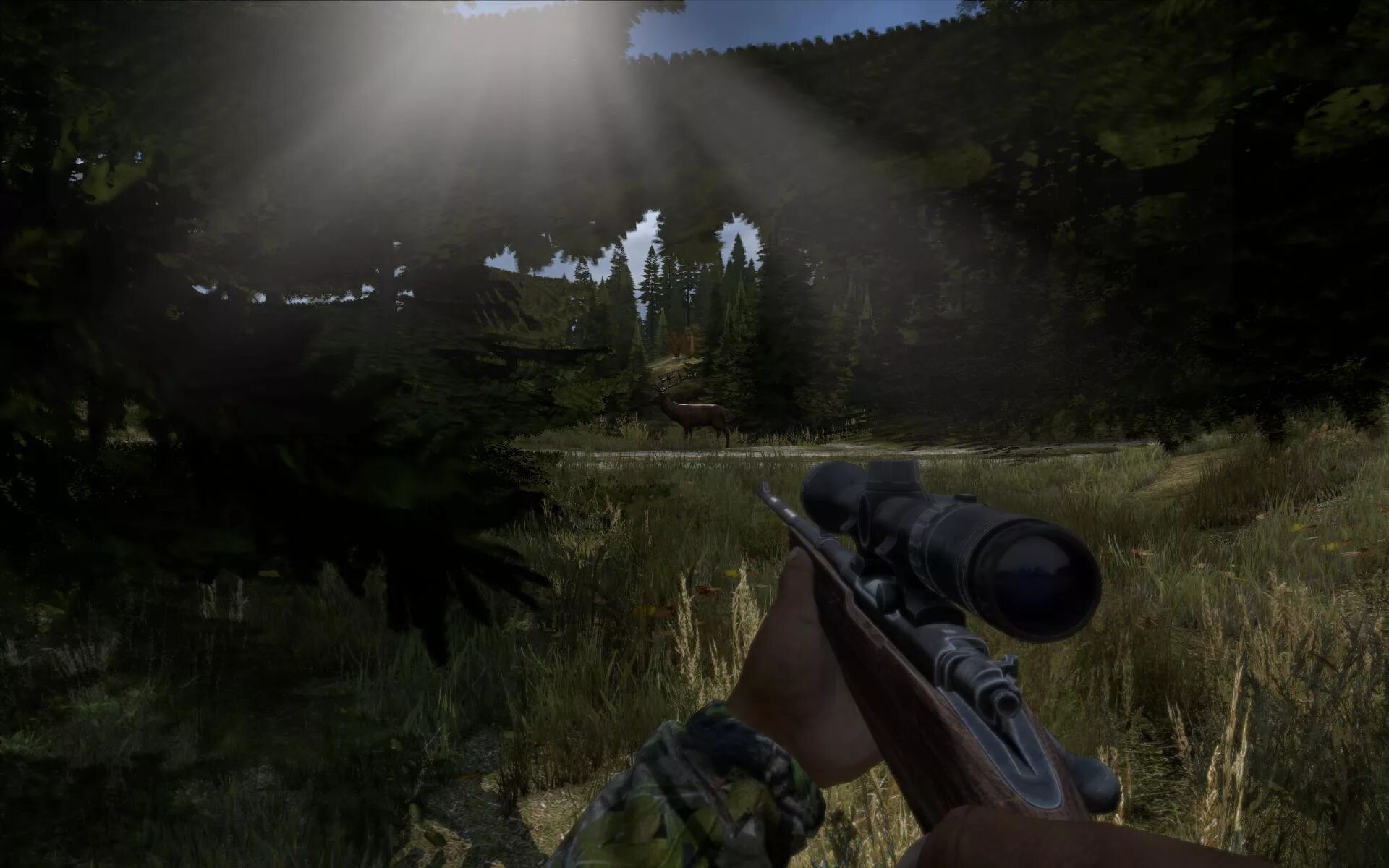 Dayz zavr. Охотничий прицел dayz. cr 527 dayz. dayz прицел кобра. дейз 2015.
