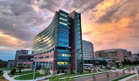 Best hospital