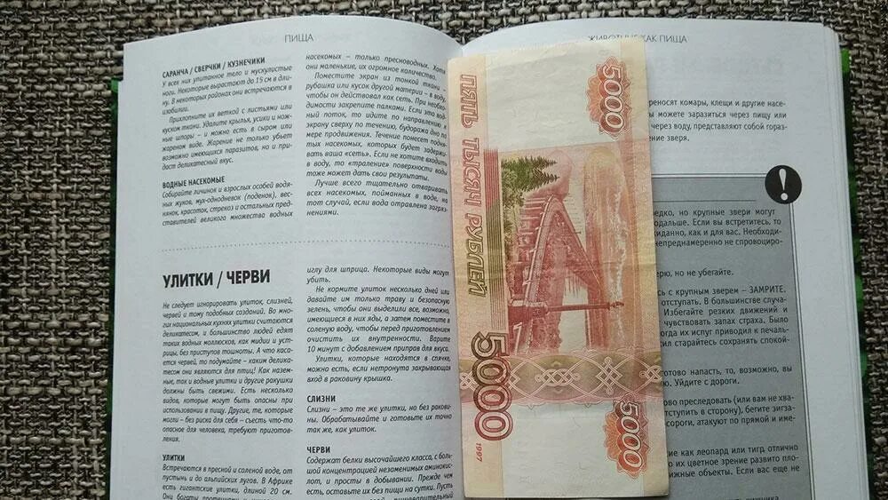 Закладки для книг в виде денег. Закладки винкс. Закладки в виде купюр. Книжные закладки купюры. Закладки деньги.
