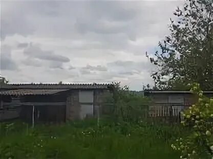 Соколье курская область тимский. Соколье курская область тимский. Соколье курская область тимский. Соколье курская область. Шалимовский пруд курская область.