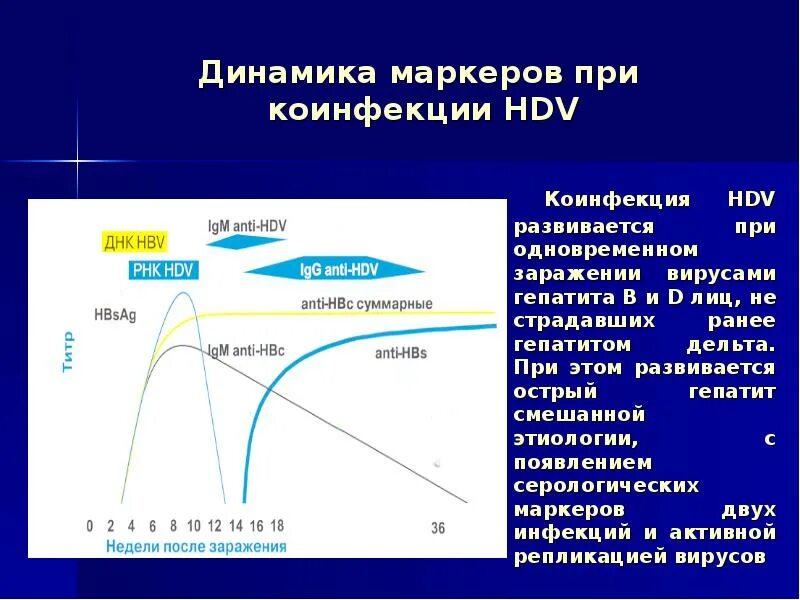 Коинфекция гепатит в и д маркеры. Динамика маркеров гепатита в. Динамика маркеров коинфекции гепатита. Маркеры суперинфекции гепатита в+д. Маркеры острого гепатита в