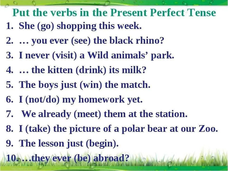 Английский язык 8 класс задания present perfect. Present perfect упражнения 7 класс. Present perfect в английском языке упражнения. Present perfect упражнения 4 класс английский. Present perfect tense упражнения