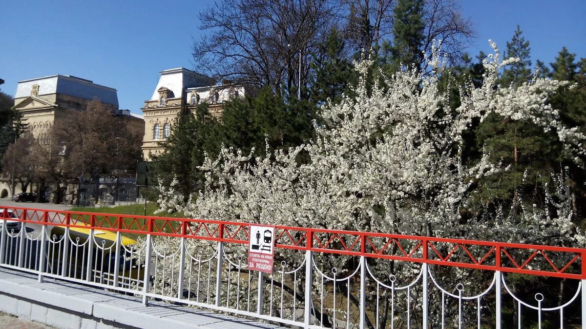 весенний кисловодск. санаторий крепость кисловодск фотогалерея. кисловодск в апреле 2024. кисловодск фото. кисловодск в апреле.