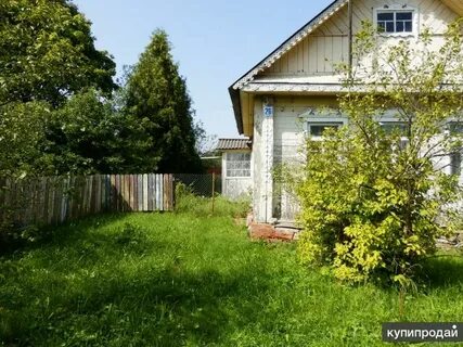 Новопетровское в истринском районе
