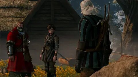 The witcher 3 wild hunt next gen