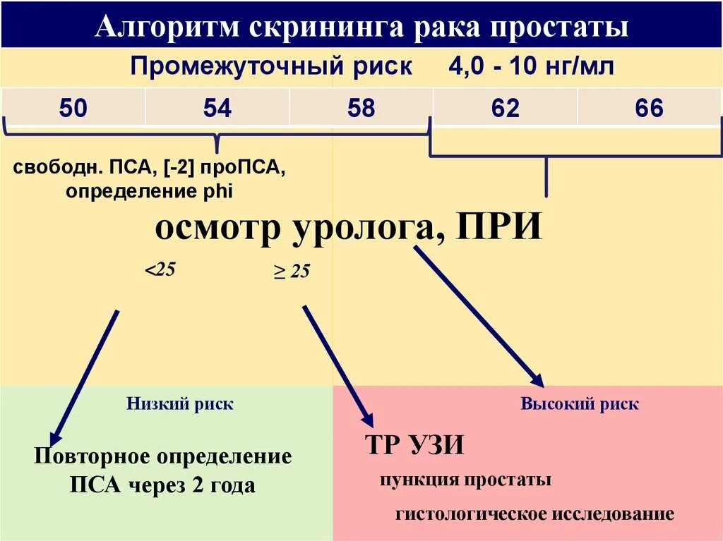 Скрининг алгоритм. Скрининг предстательной железы. Пса при онкологии. Пса при онкологии предстательной железы. Пса при раке предстательной