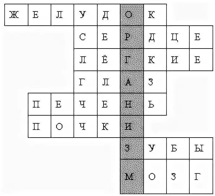 Реакция организма сканворд