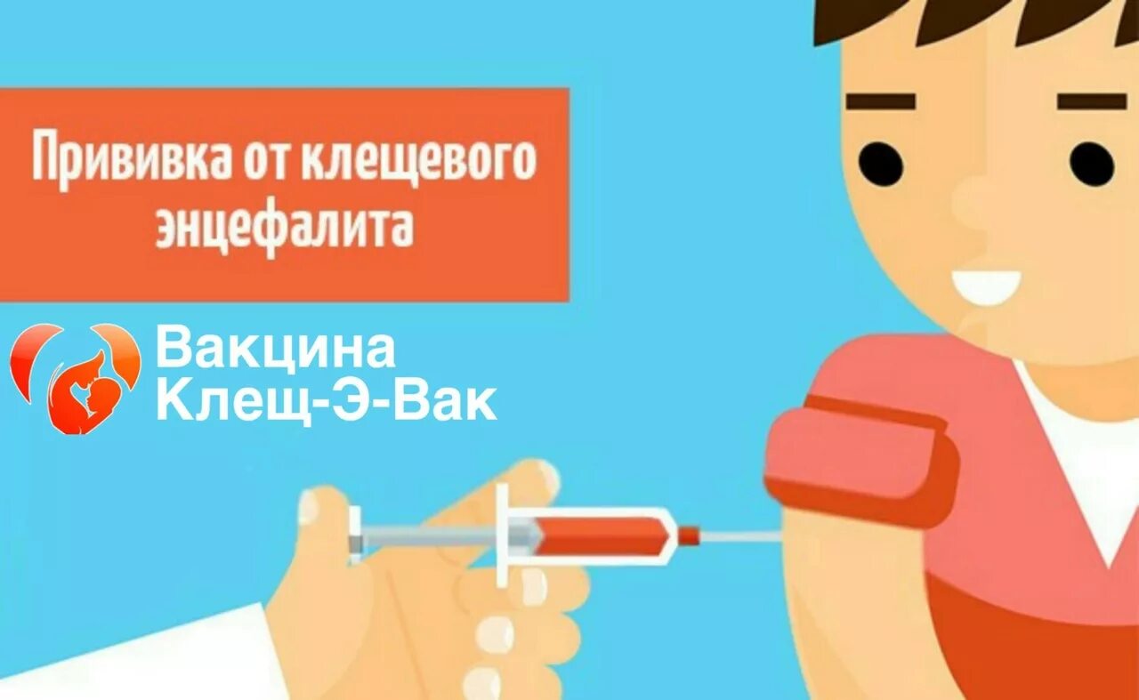 После прививки клещевого энцефалита можно мыться. Прививки от клещевого энцефалита. Клещевой энцефалит прививка. Ревакцинация клещевого энцефалита. Вакцинация против клещевого энцефалита детям.