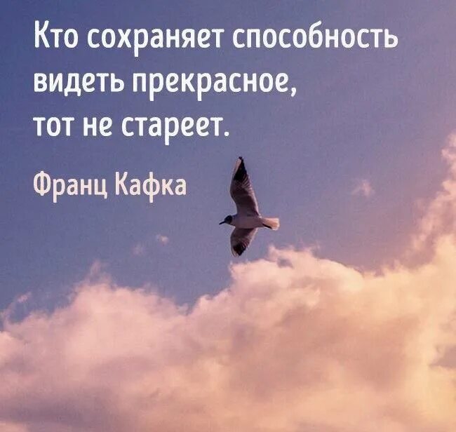 Умение видеть прекрасное. Способность видеть прекрасное. Человек видит прекрасное. Умение видеть в людях хорошее.